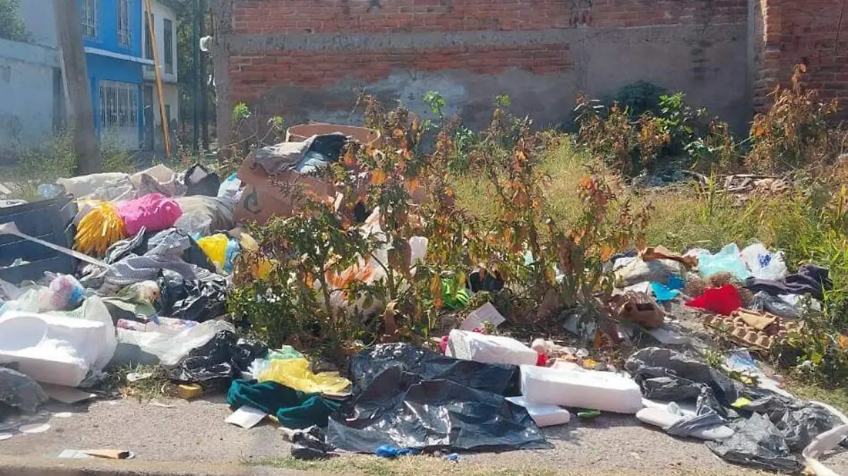 basura 2